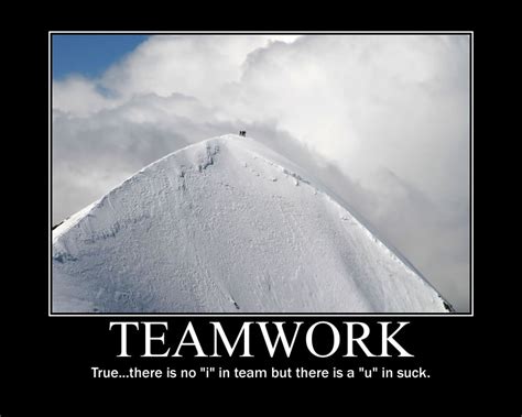 Funny Teamwork Quotes Quotesgram