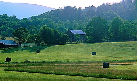 Virginia Countryside In Spring 1 Photograph By Arlane Crump Fine