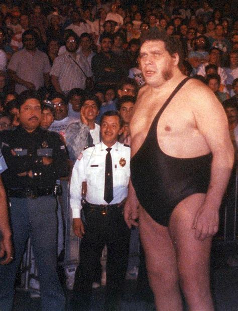 Top 10 Interesting Facts About André The Giant Discover Walks Blog