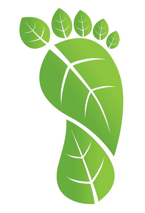 Five Tips for Reducing your Carbon Footprint in 2017 | Carbon emissions, Carbon footprint, The ...
