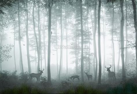 Dark Misty Forest With Horned Deer Wallpaper Mural Foggy Forest