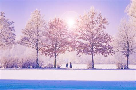 Calming Winter Wallpapers Top Free Calming Winter Backgrounds