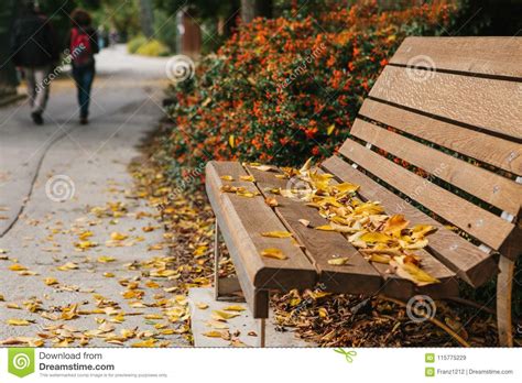 Eine Holzbank In Einem Park Mit Gelbem Laub Im Herbst Der Bunte Hintergrund Leute Gehen In Den