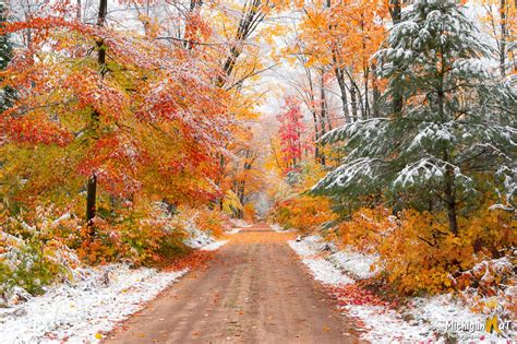 Early Autumn Snow In Michigans Hiawatha National Forest Oc 2048 X