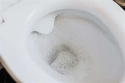 Why Is Your Toilet Gurgling What Are The Causes And How To Stop It
