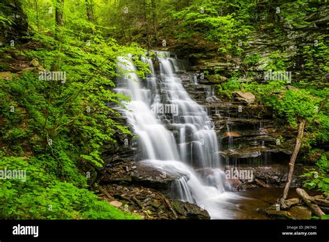 Waterfall At Ricketts Glen State Park Pennsylvania Stock Photo Alamy