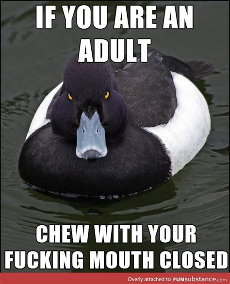 Angry Advice Duck Funsubstance