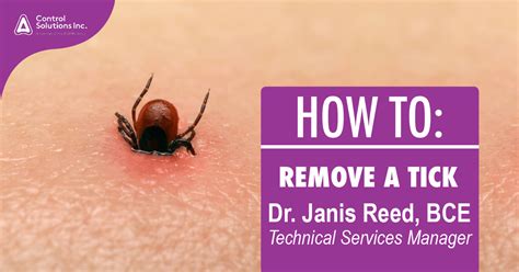 How To Safely And Properly Remove A Tick