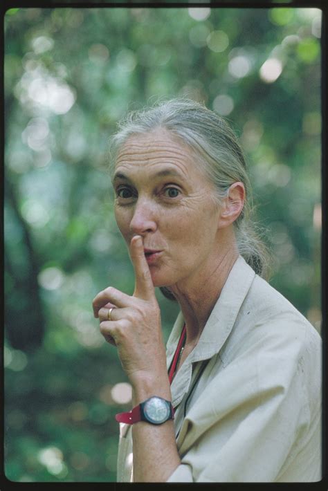 I Was Here Jane Goodall