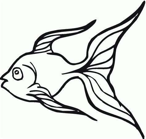 If he can easily cope complex duck and camomile coloring page. Free Printable Goldfish Coloring Pages For Kids