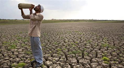 Parched Punjab Farms Consume 97 Of Groundwater Extracted Regional