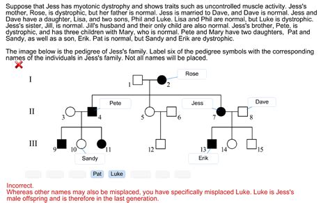 You may assume that the disease allele is rare and therefore individuals marrying into the. Solved: Suppose That Jess Has Myotonic Dystrophy And Shows ...