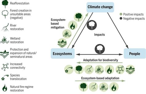 Measuring The Success Of Climate Change Adaptation And Mitigation In
