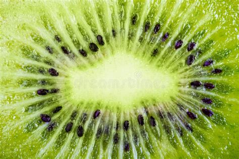 Kiwi Fruit Macro Stock Photo Image Of Slice Inside