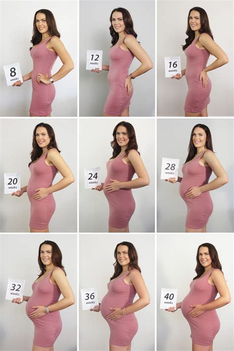 Bump Pictures Of Pregnancy Stages