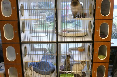 Southwood Animal Hospital Pet Resort