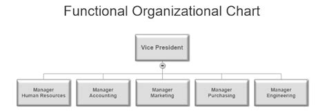 Functional Organizational Chart Example Business Organizational
