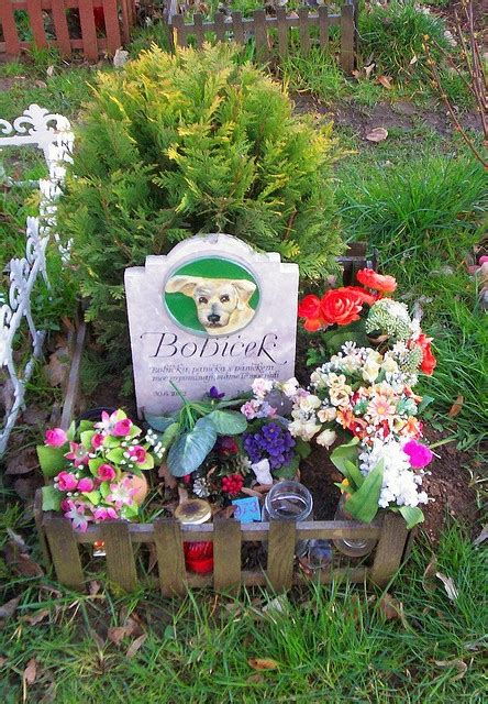 Our collection of pet memorial ideas are considerate and creative, making thoughtful pet memorial gifts for your friends and family, as well. 42 best DIY Pet Memorials images on Pinterest | Pet memorials, Loss of pet and Memorial ideas