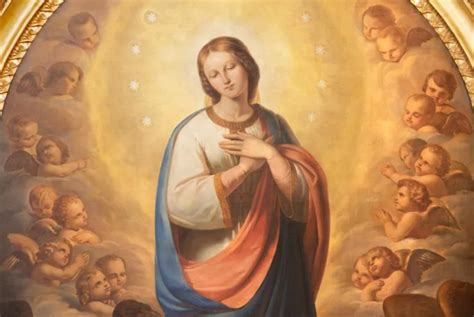December 8 Solemnity Of The Immaculate Conception Of The Blessed Virgin Mary A Holy Day Of