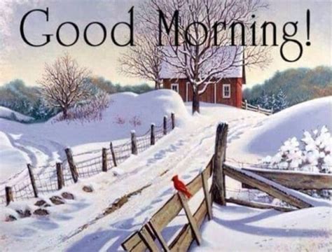 50 Christmas And Winter Good Morning Quotes Good Morning Winter Good
