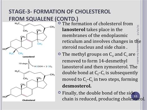 Cholesterol synthesis steps and regulation