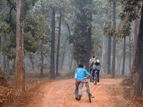 Cycling Vacation In The Maikal Hills Central India Responsible Travel