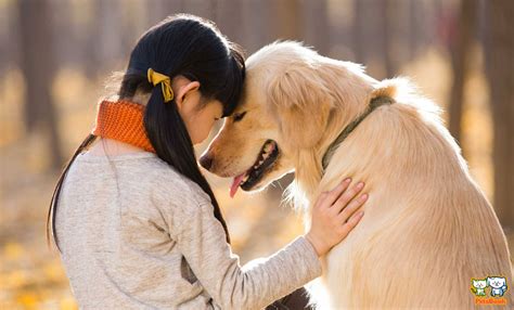 سگ و انسان، این رابطه چه در خود دارد؟ آیا بهترین دوستی دنیاست؟