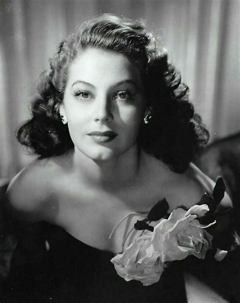 Ava Gardner A Face Like No Other Ava Gardner Hollywood Classic