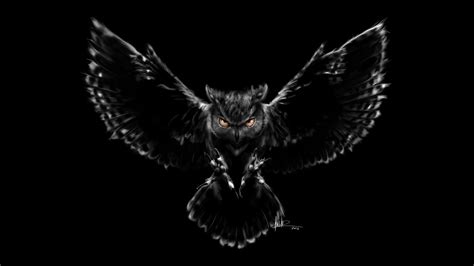 Night Owl Wallpapers Wallpaper Cave
