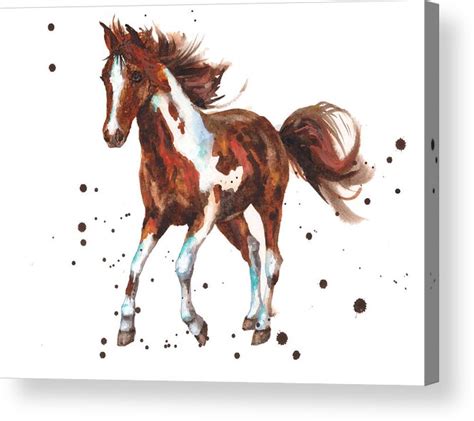 Watercolor Horse Painting Acrylic Print By Alison Fennell