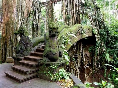 Amazing Sacred Monkey Forest Sanctuary Local Tour Daytrips