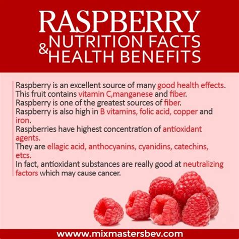 Raspberry Nutrition Facts And Health Benefits Raspberry Is An Excellent