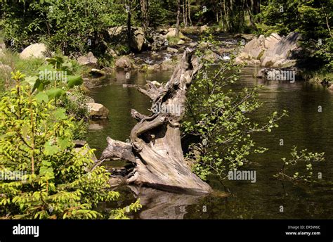 River Oker Oker Valley Harz Hi Res Stock Photography And Images Alamy