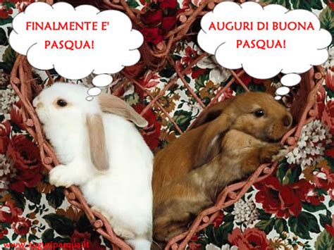 Le piu' belle frasi di pasqua, immagini pasqua da condividere su facebook e prendi spunto dagli originali auguri pasquali per preparare i tuoi messaggi di buona pasqua, per scrivere gli auguri di pasqua sui biglietti di pasqua. Fai gli originali auguri di buona Pasqua