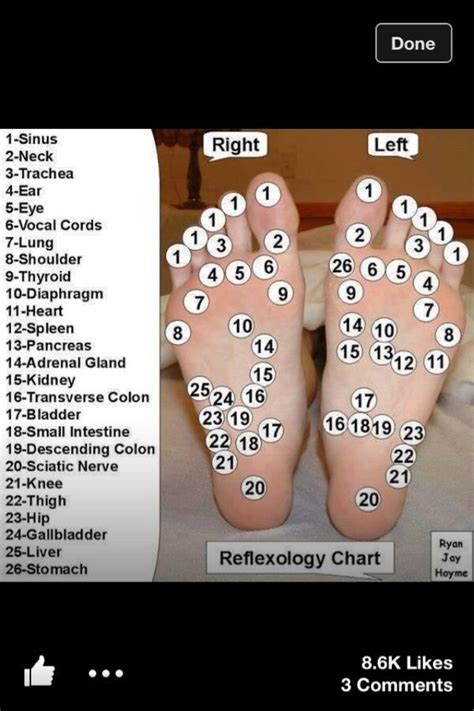 Lynne 21092013 154341 Reflexology Reflexology Chart Massage