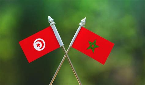 نقابة الصحفيين التونسيين وسائل إعلام مغربية تشن حملات غير أخلاقية ضد تونس زاجل