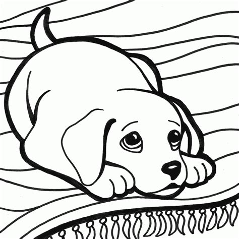 Dibujos Para Colorear De Mascotas Dibujos De Mascotas Para Pintar