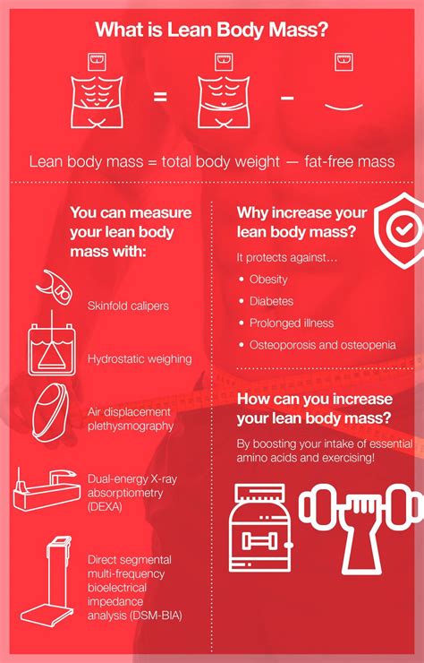 How Amino Acids Increase Lean Body Mass Lean Body Body Mass Body