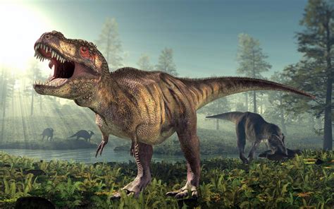 Growing Up Tyrannosaurus Rex Researchers Learn More About Teen Age Trex