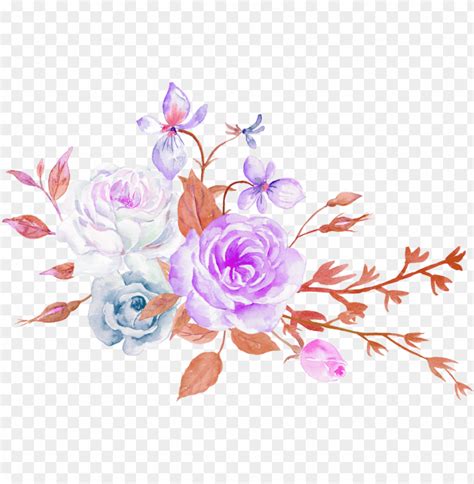 Rose Flower Aesthetics Floral Design Aesthetic Flowers PNG Image With Transparent Background