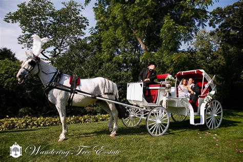 A Surprise Horse And Carriage Take The Newly Wed Couple Around The