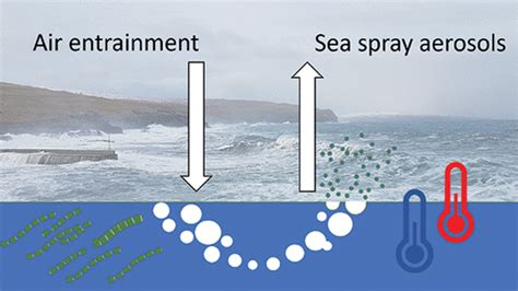 Sea Spray Aerosol Formation Laboratory Results On The Role Of Air Entrainment Water