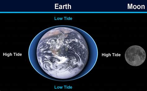 Tides Read Earth Science Ck 12 Foundation