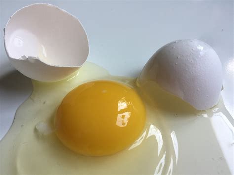 계란 깨진 달걀 Pixabay의 무료 사진 Pixabay