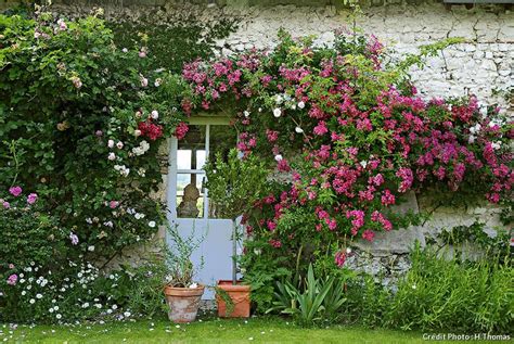 Un Jardin De Roses Dans Le Val De Loire Détente Jardin Garden Cottage