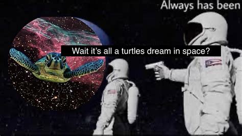 The Turtles Having A Nightmare In 2020 Riasip