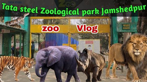 Tata Steel Zoological Park Jamshedpur Jublee Park Amazing Park