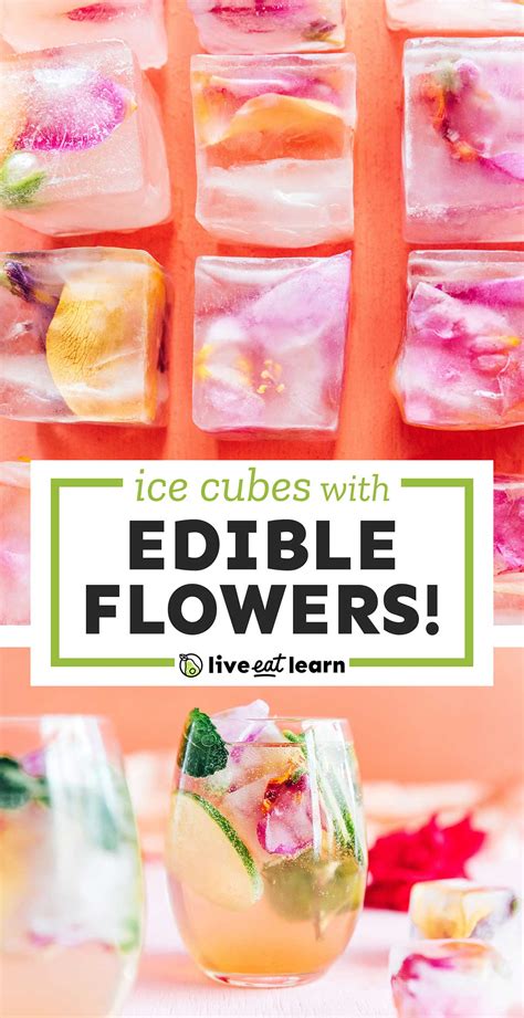 How To Make Edible Flower Ice Cubes Live Eat Learn