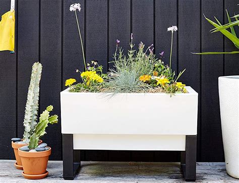 This Self Watering Planter Box Is The Green Thumb You Never Had