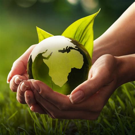 10 Ways To Save The Enviroment 2023